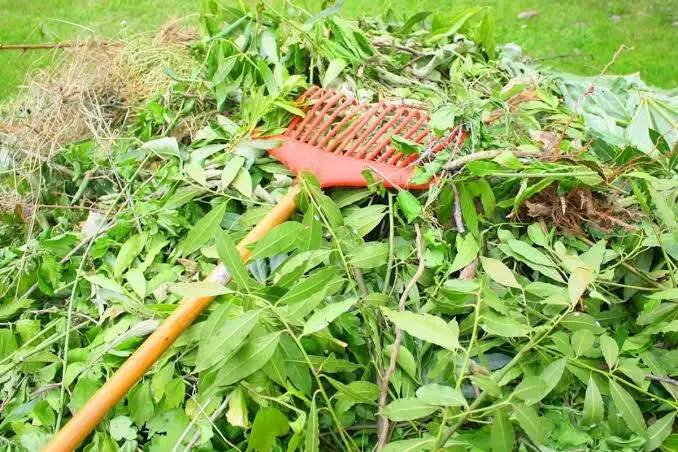 Déchets verts évacués après un débroussaillage en Isère
